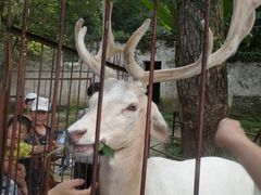 -白鹿洞书院