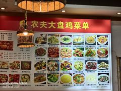 -农夫大盘鸡(经八路总店)