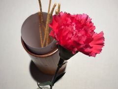 -華府Deluxe(兴业太古汇店)