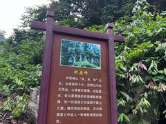 -庐山碧龙潭风景区