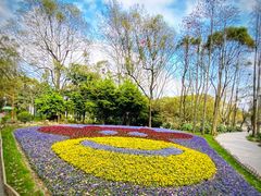 -上海共青森林公园