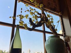 -鸟鹏烧鸟居酒屋(龙岗万科店)