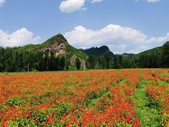 -百里山水画廊