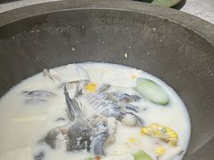 -鲜潭蒸汽石锅鱼(万象前海店)