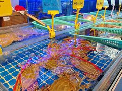 -湘满甲·黄焖甲鱼创始者·湘菜·鲁菜(潘家园店)