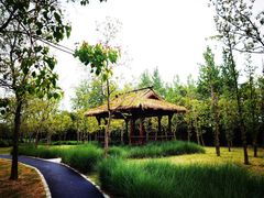 -溱湖国家湿地公园