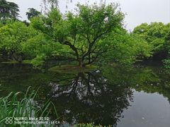 -城隍阁