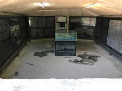 -胡里山炮台