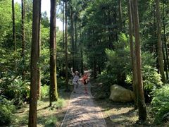 -狼山风景名胜区