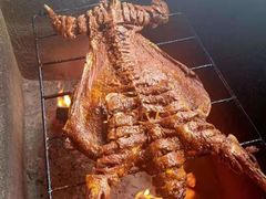 -大京袁记烤全羊农家(大京水库店)