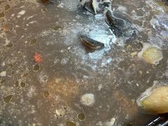 -顺德哥卜卜贝(旗舰店)