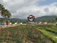 -亚龙湾国际玫瑰谷