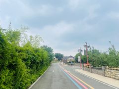 -空港花田景区