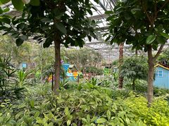 -南宫五洲植物乐园