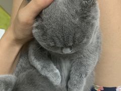 -乐琪宠物医院·犬猫专科·骨外科·急重症