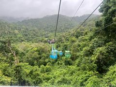 -野象谷景区