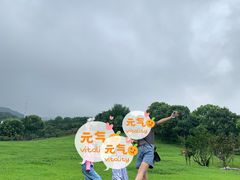 -雨花胜境
