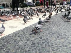 -加泰罗尼亚广场