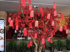 -真爱年华水疗健康运动中心(朱雀大街店)