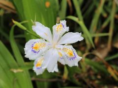 -镇江市南山风景名胜区竹林景区