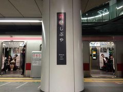 -涩谷全向十字路口
