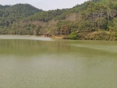 -广州白江湖森林公园