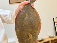 -镹·鱼料理  国产鱼使用店