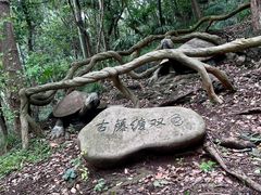 -赭山公园