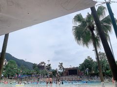 -重庆海昌加勒比海水世界