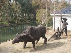 -上海长兴岛郊野公园