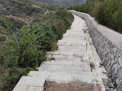-五龙城郊森林公园