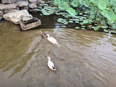 -木塔寺遗址生态公园