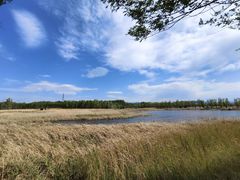 -野鸭湖国家湿地公园