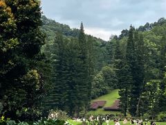 -深圳仙湖植物园