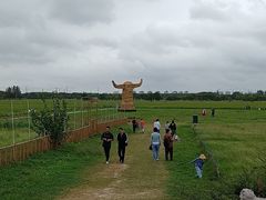 -嘉北郊野公园