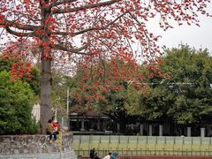 -喜洲吧·江畔老船厂·庭院餐厅(喜临院店)