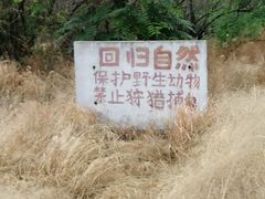 -白水寺森林公园