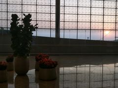 -贾特拉帕蒂·希瓦吉国际机场