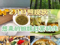 -渡海小渔村.老辈日照菜