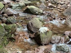 -湖州龙王山景区