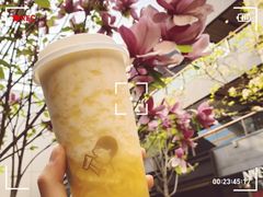 -喜茶(北京三里屯太古里店)