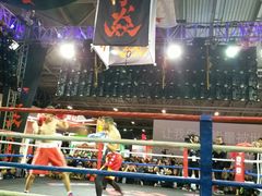 -东浩兰生上海世博展览馆