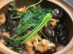 -食爺炭炉鸡煲·烧烤