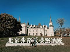 -北京张裕爱斐堡酒庄