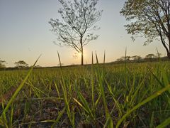 -盘龙城国家考古遗址公园