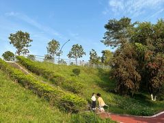 -鹤之洲湿地公园