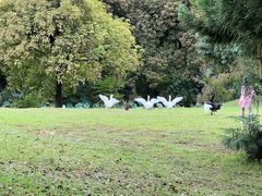 -福建鲤鱼洲酒店