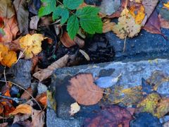 -叠溪松坪沟景区