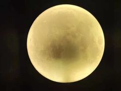 -深圳独角兽星空艺术馆