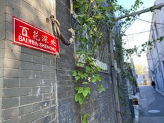 -百花深处胡同